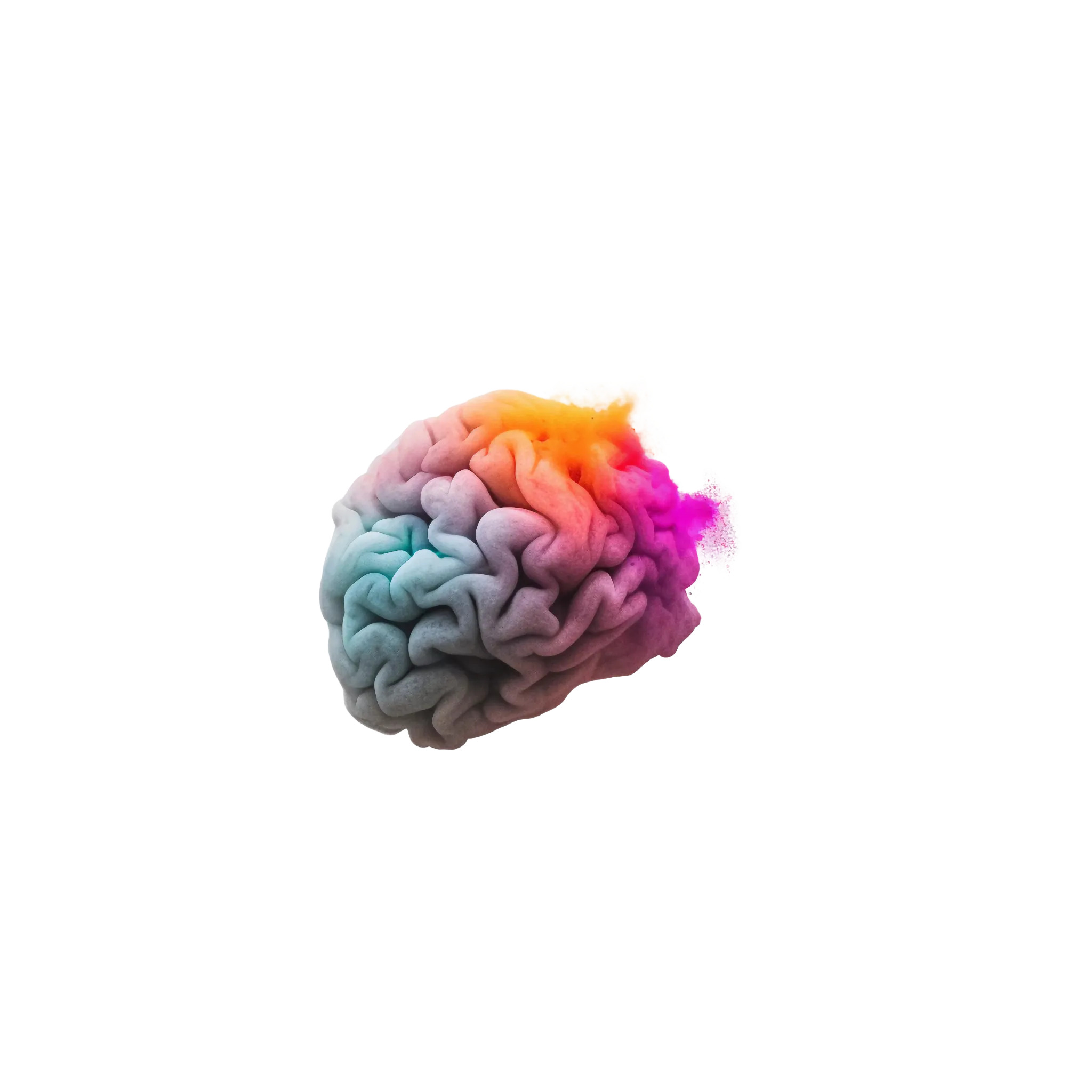 colorful brain